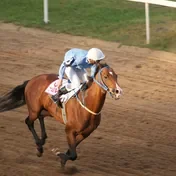 Racehorse and jockey on a track